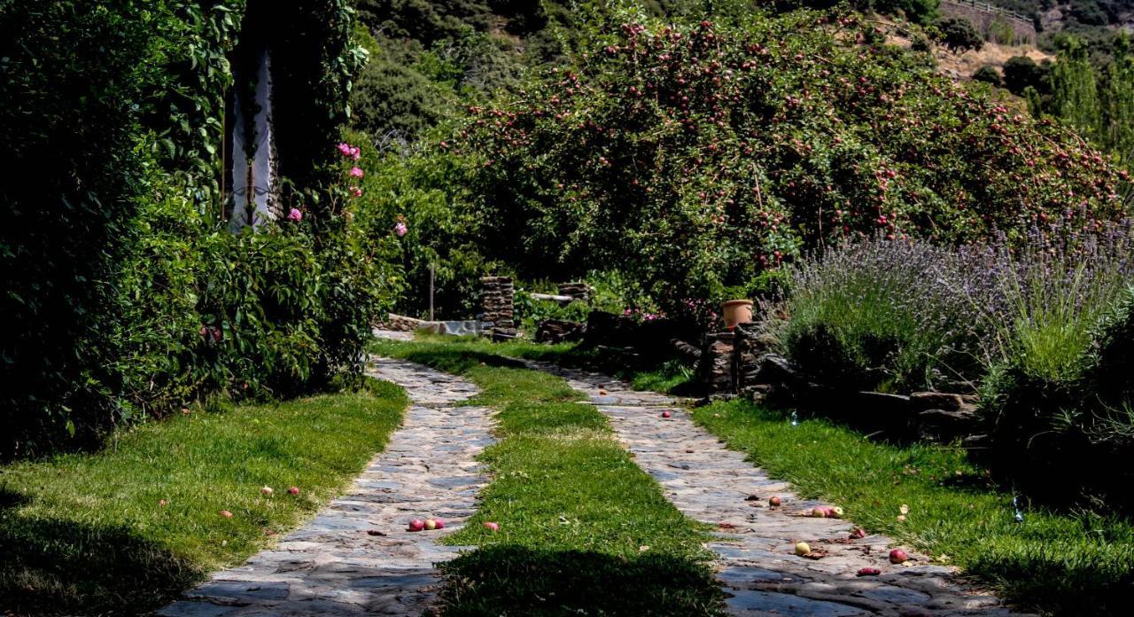 Casa Rural Catifalarga Alpujarra Capileira Zewnętrze zdjęcie