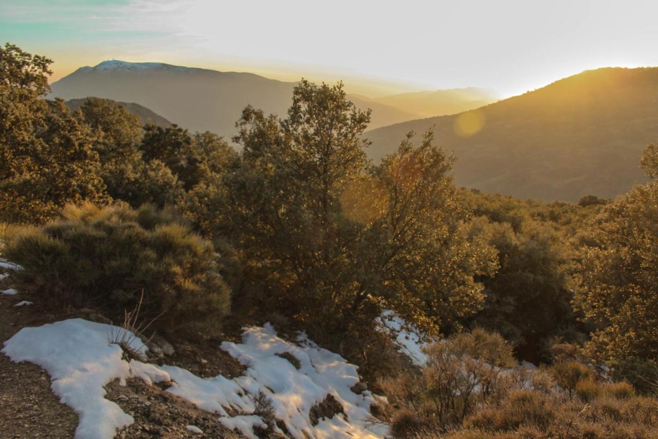 Casa Rural Catifalarga Alpujarra Capileira Zewnętrze zdjęcie
