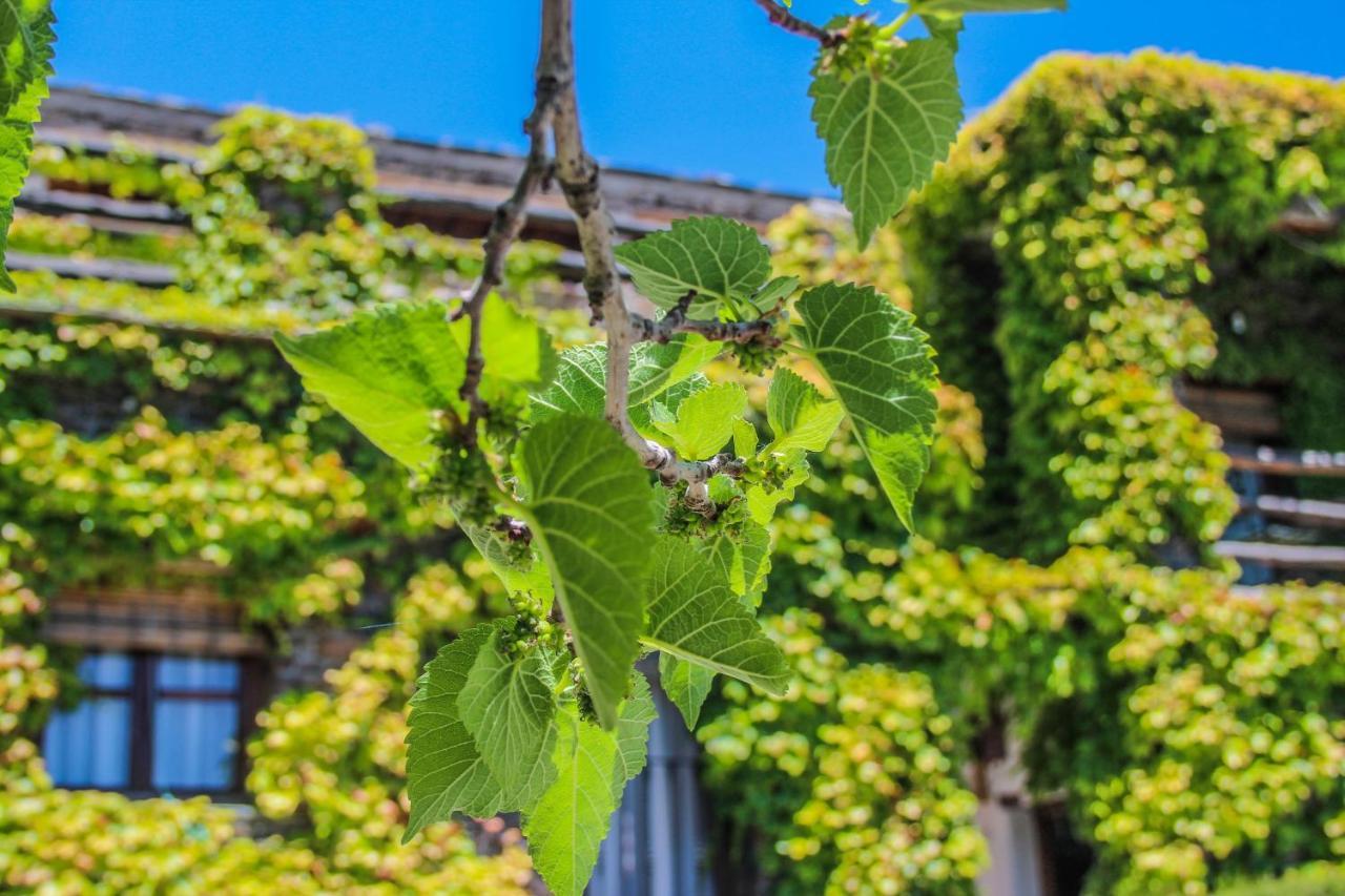 Casa Rural Catifalarga Alpujarra Capileira Zewnętrze zdjęcie